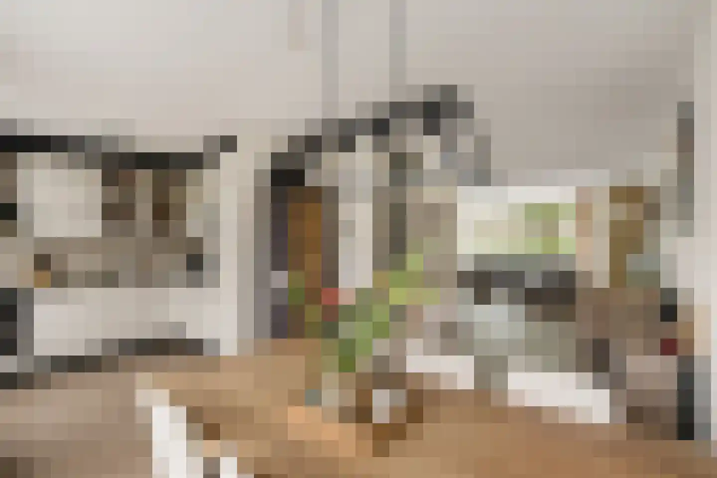 Watergraaflaan 89 Oudenbosch thumbnail 13