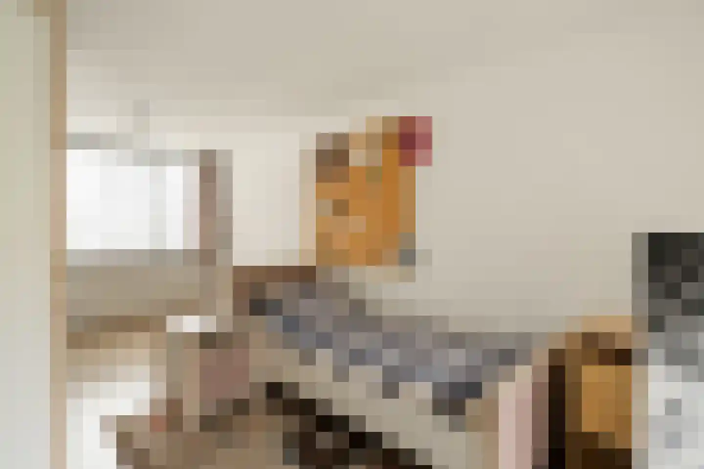 Watergraaflaan 89 Oudenbosch thumbnail 23