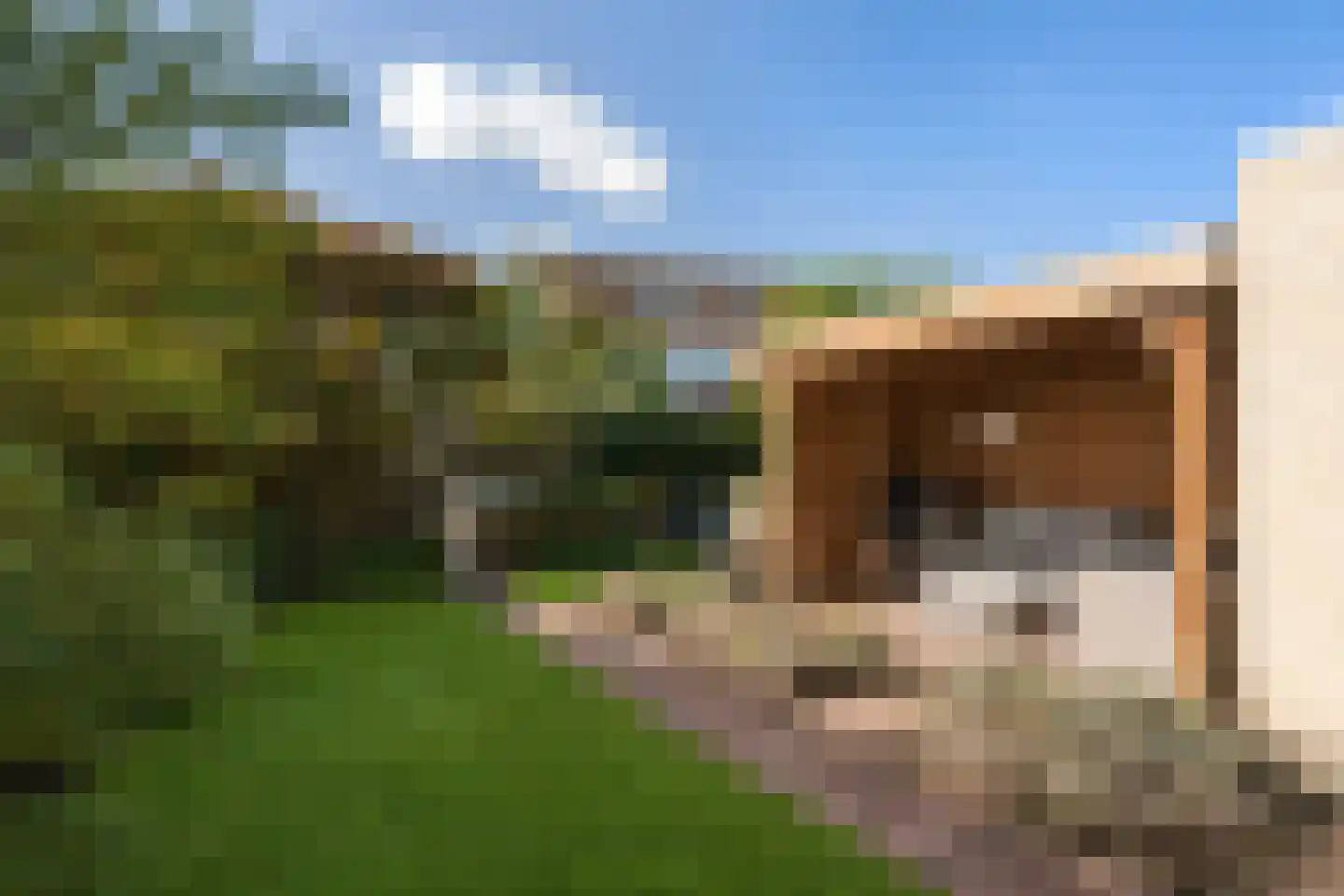 Watergraaflaan 89 Oudenbosch thumbnail 30