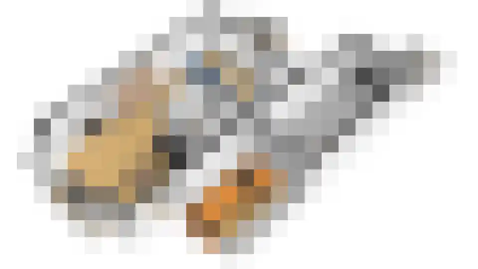 Watergraaflaan 89 Oudenbosch thumbnail 38