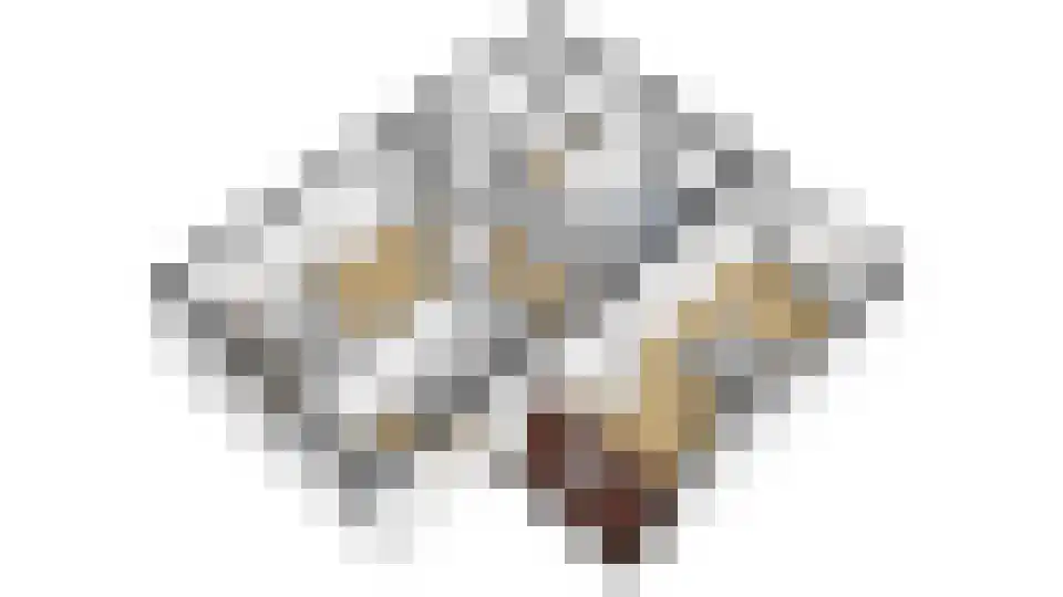 Watergraaflaan 89 Oudenbosch thumbnail 39