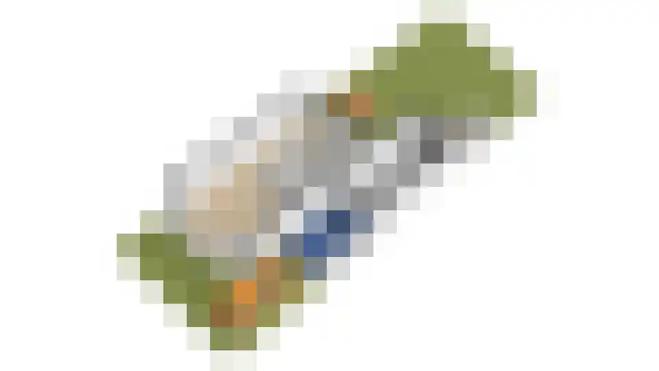 Watergraaflaan 89 Oudenbosch thumbnail 41