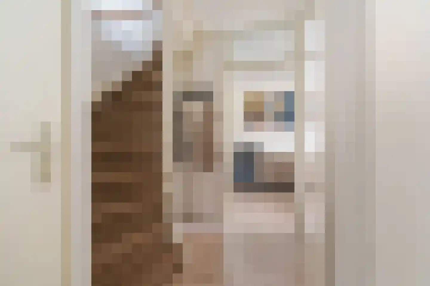 Watergraaflaan 89 Oudenbosch thumbnail 6