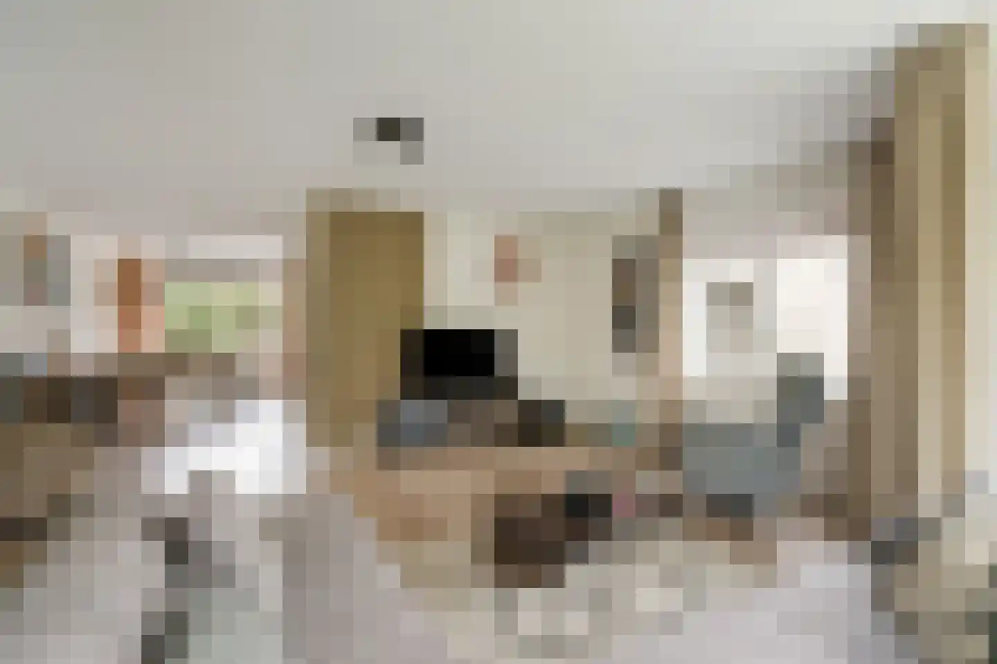 Watergraaflaan 89 Oudenbosch thumbnail 8