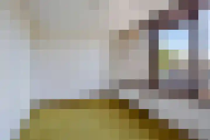 Waterhamskamp 2 Oldenzaal thumbnail 23