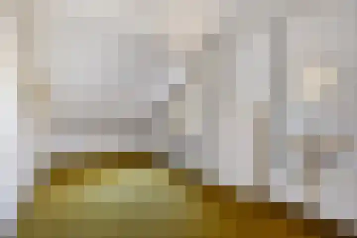 Waterhamskamp 2 Oldenzaal thumbnail 25
