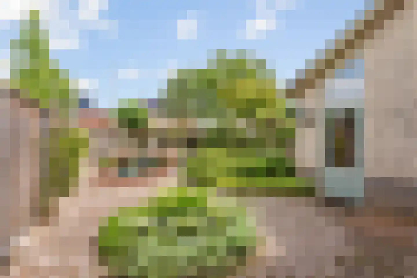 Waterhamskamp 9 Oldenzaal thumbnail 21