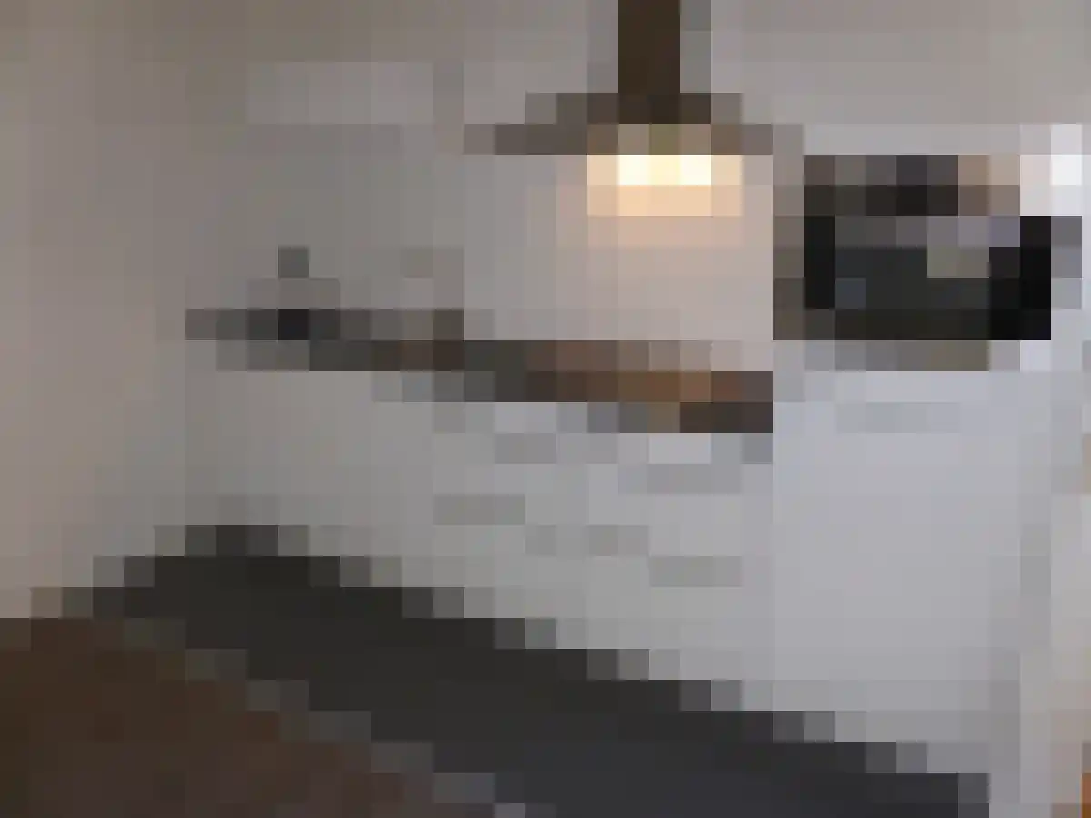 Waterhoefstraat 10 Tilburg thumbnail 5