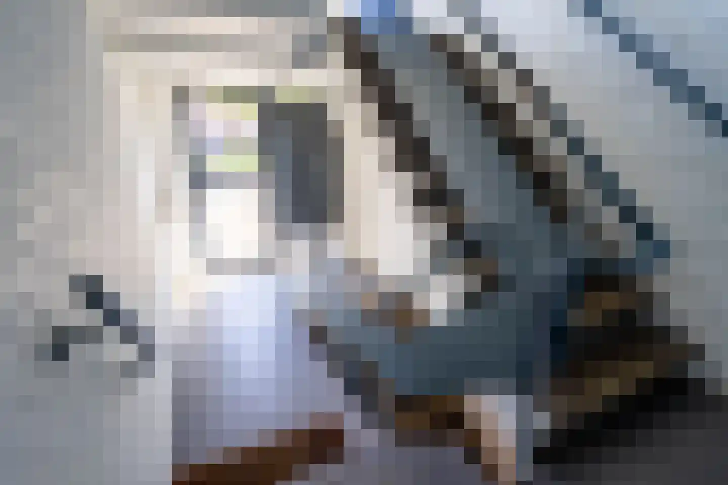 Waterhoefstraat 25 b Tilburg thumbnail 18