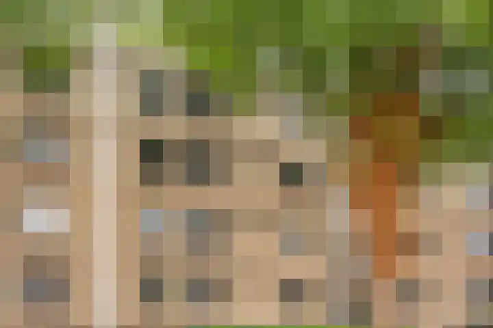 Waterhoefstraat 5 c Tilburg thumbnail 22