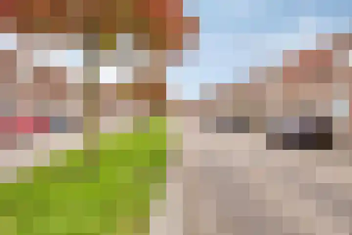 Waterhoefstraat 82 Tilburg thumbnail 21