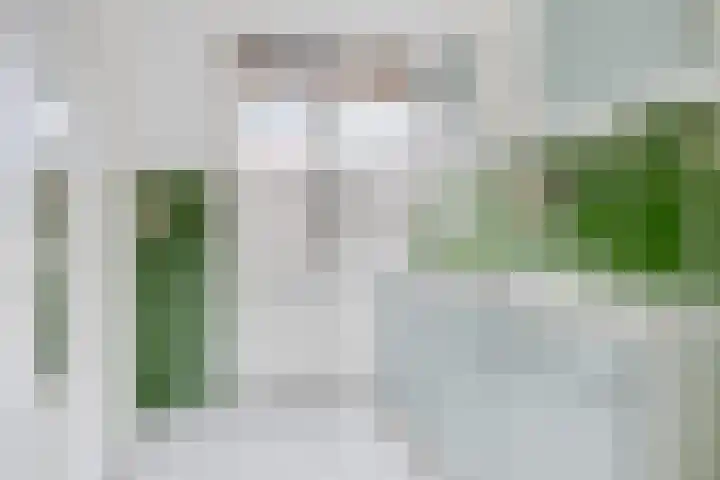 Waterhoefstraat 82 Tilburg thumbnail 5