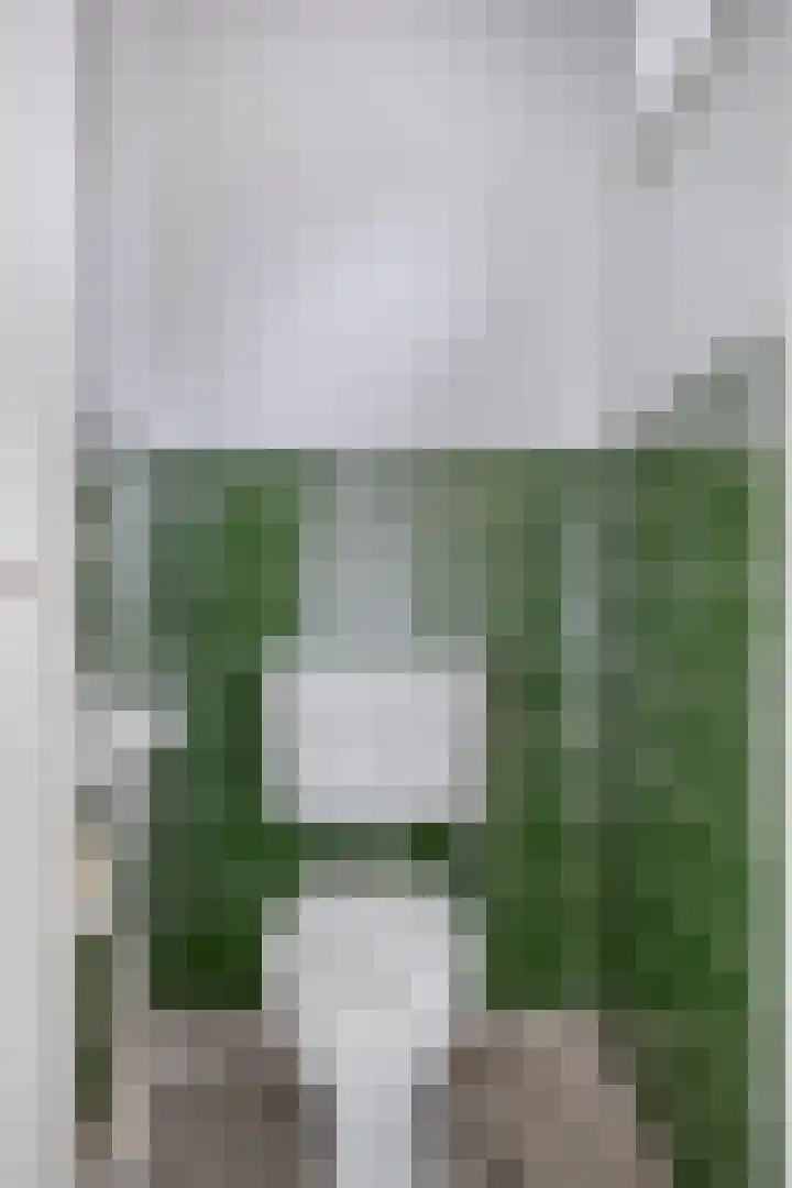 Waterhoefstraat 82 Tilburg thumbnail 9