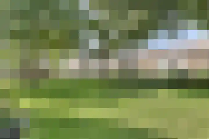 Waterhoefstraat 9 a Tilburg thumbnail 21
