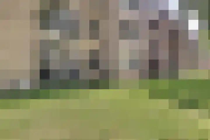 Waterhoefstraat 9 a Tilburg thumbnail 24