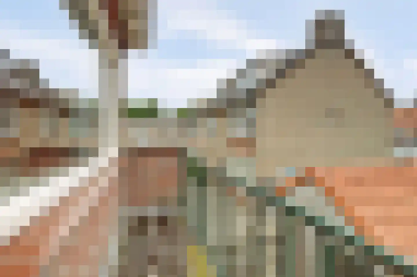 Waterhoefweg 15 Oisterwijk thumbnail 20