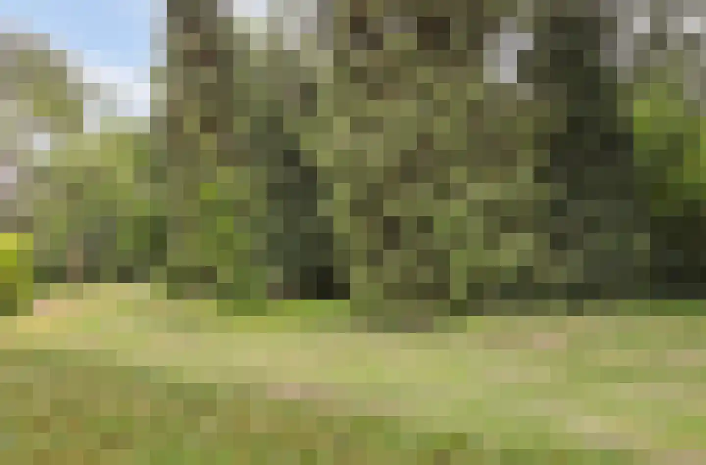 Waterhoefweg 15 Oisterwijk thumbnail 36