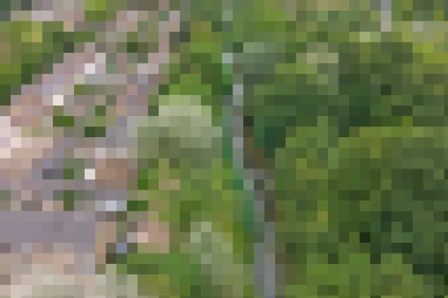 Waterhoefweg 15 Oisterwijk thumbnail 40