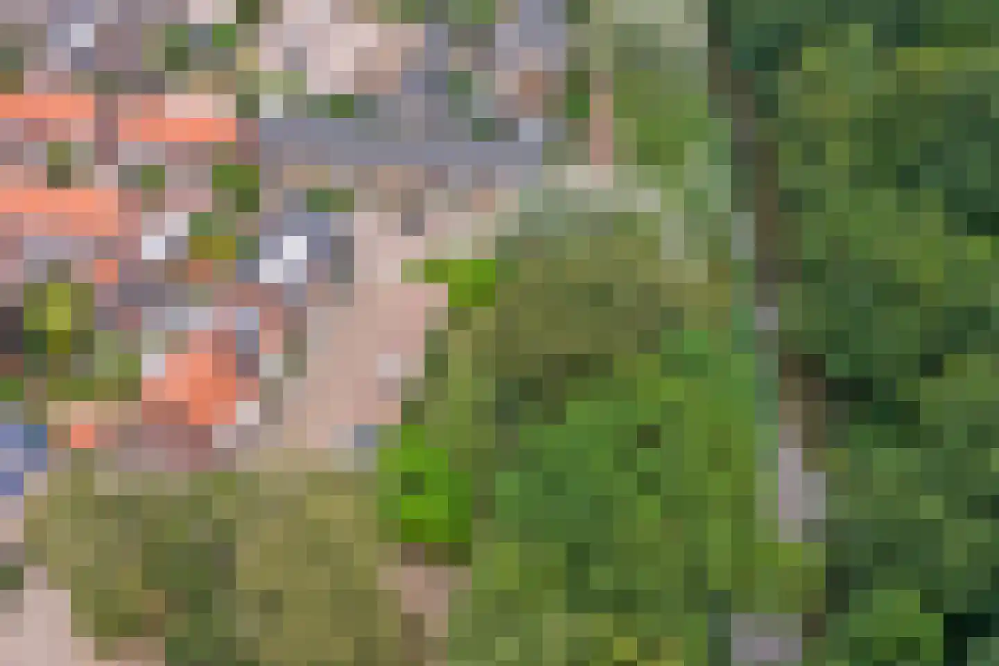 Waterhoefweg 15 Oisterwijk thumbnail 42