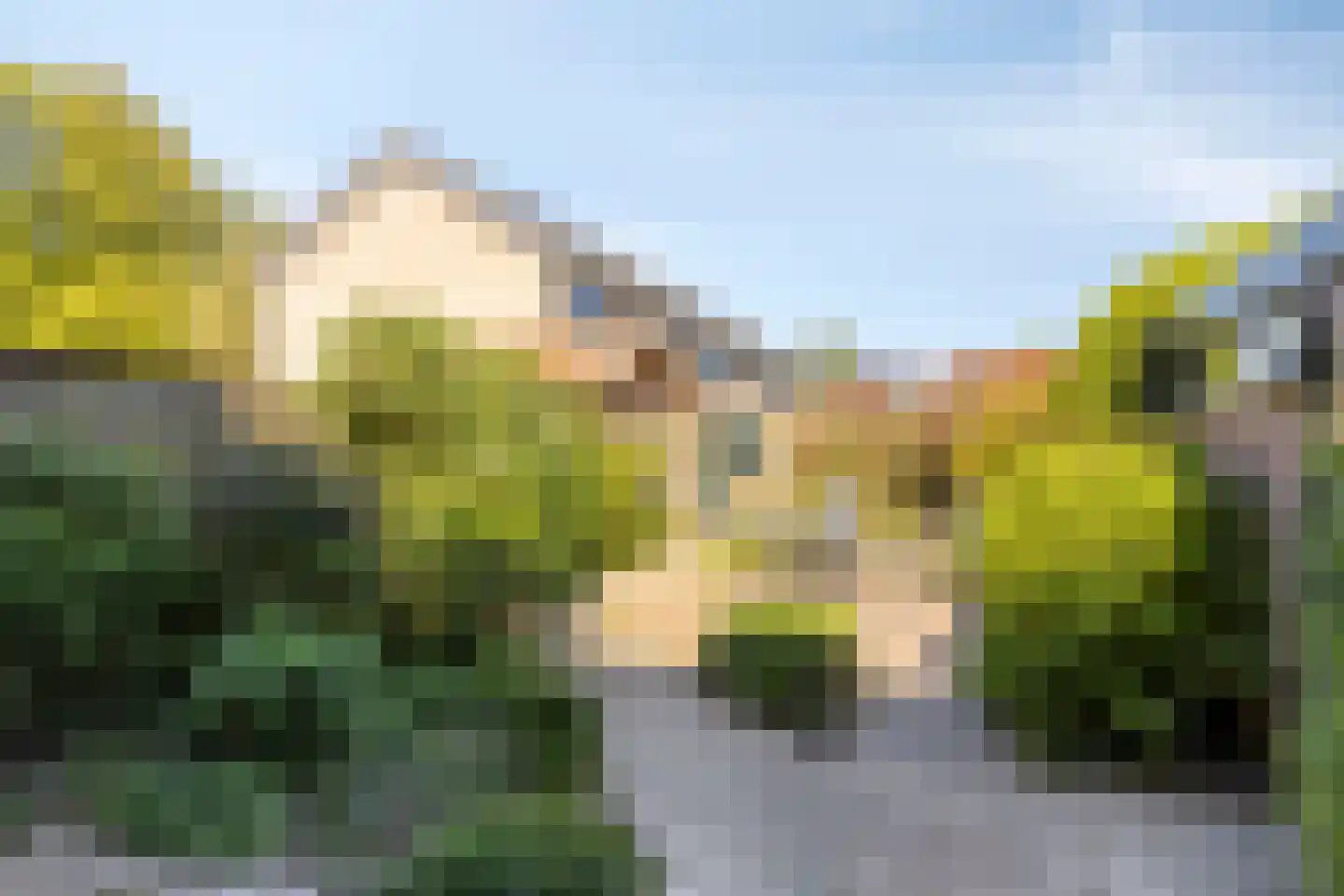 Waterhoefweg 63 Oisterwijk thumbnail 39