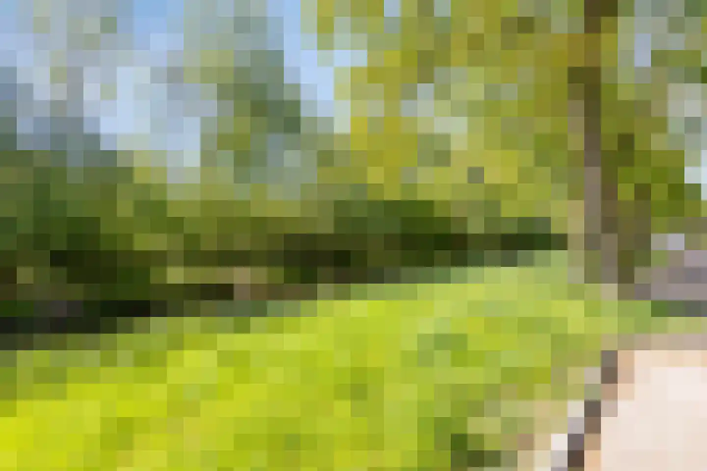Waterhoefweg 63 Oisterwijk thumbnail 42