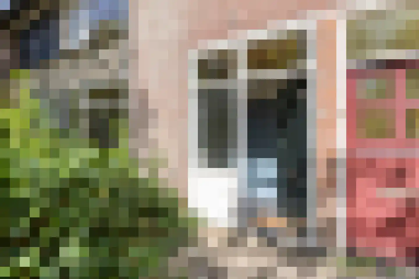 Waterhoefweg 63 Oisterwijk thumbnail 5