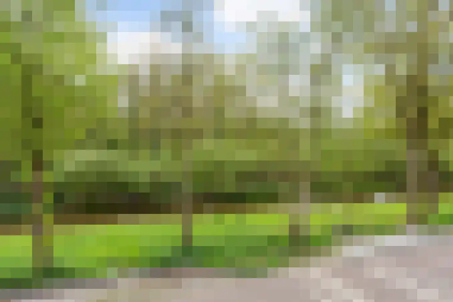 Waterhoefweg 71 Oisterwijk thumbnail 26