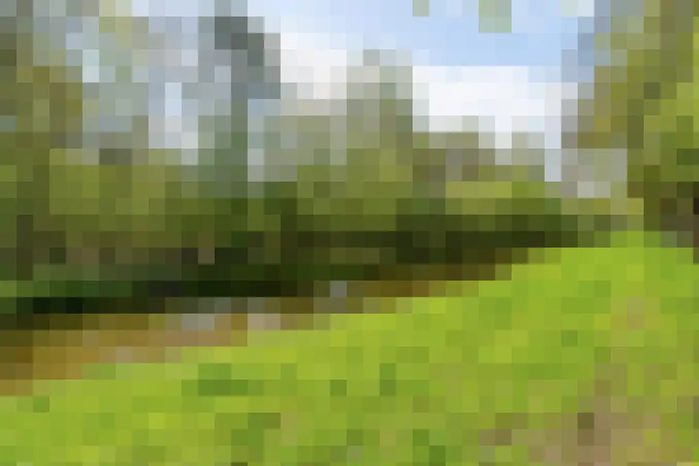 Waterhoefweg 71 Oisterwijk thumbnail 39