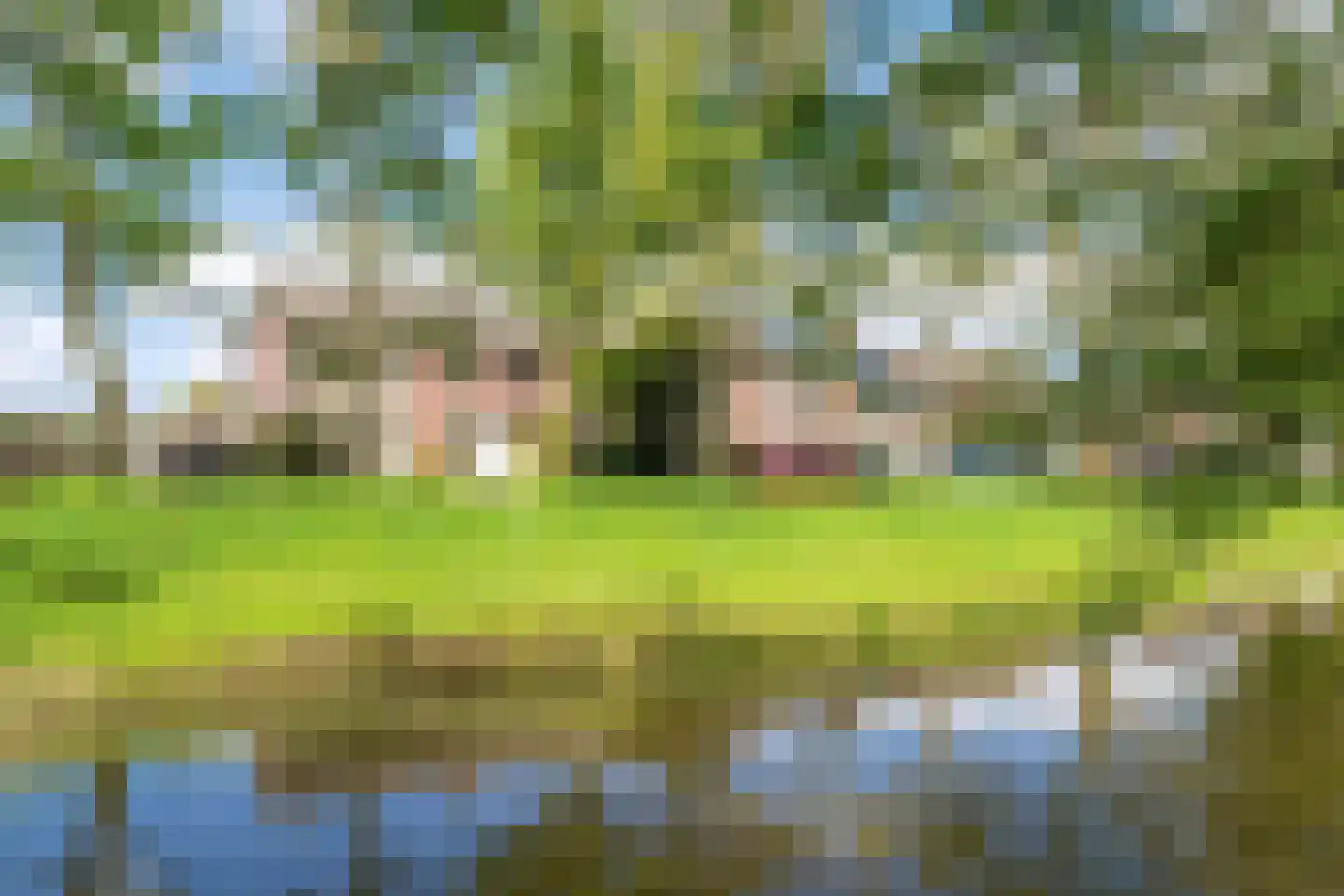 Waterhoefweg 71 Oisterwijk thumbnail 40
