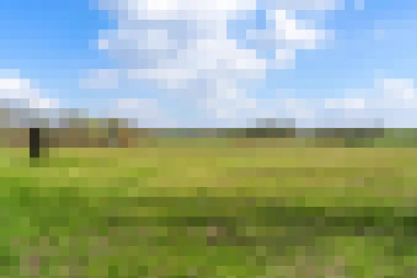 Waterhoefweg 71 Oisterwijk thumbnail 41