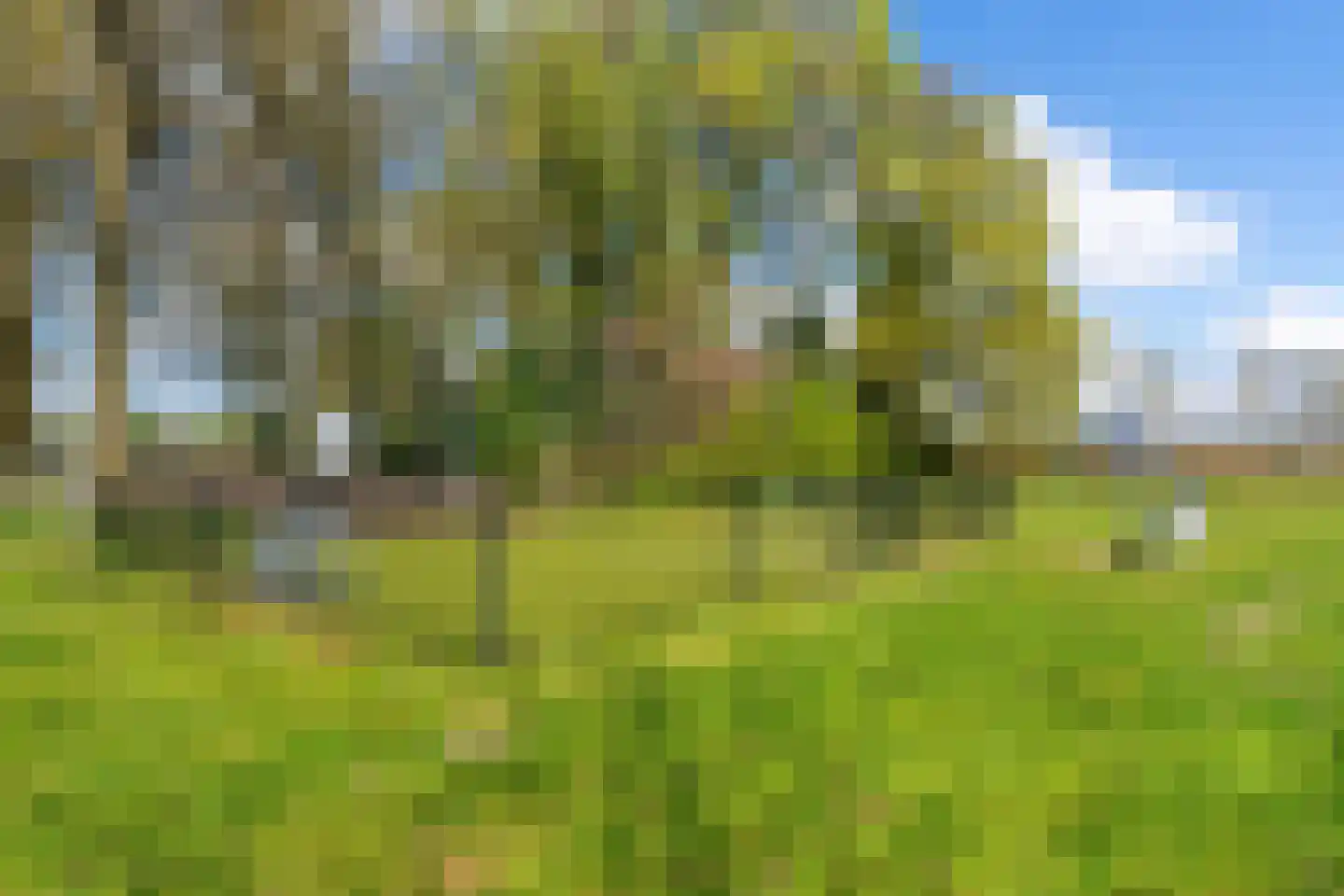 Waterhoefweg 71 Oisterwijk thumbnail 42