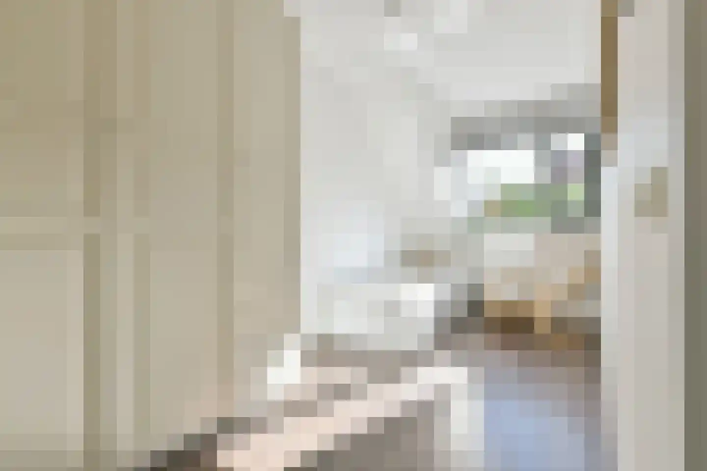 Waterhoen 1 Amstelveen thumbnail 13