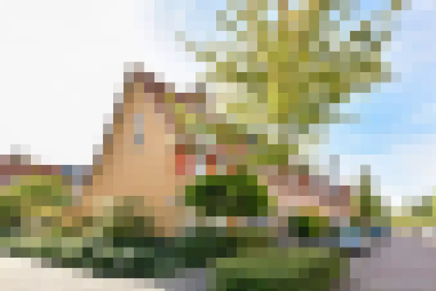 Waterhoen 1 Amstelveen thumbnail 22