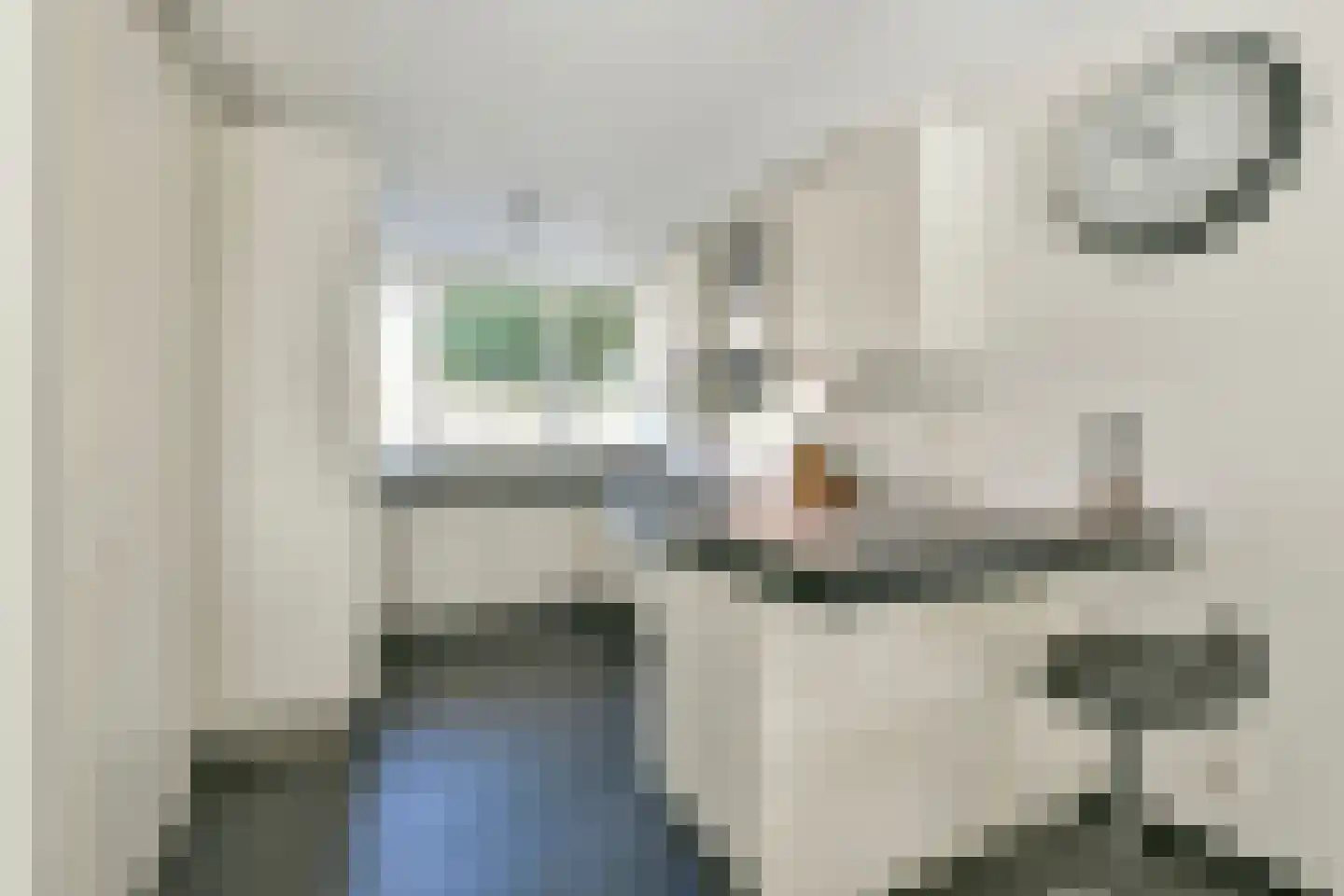 Waterhoen 1 Amstelveen thumbnail 9