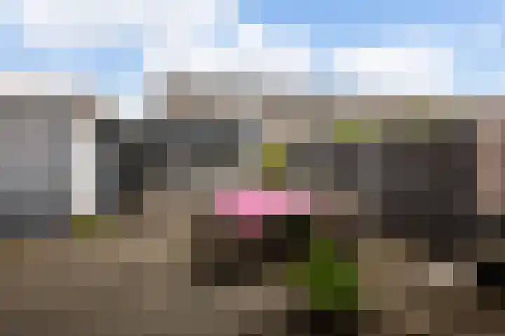 Waterhoen 1 Oostzaan thumbnail 12