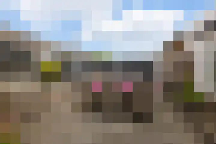 Waterhoen 1 Oostzaan thumbnail 14