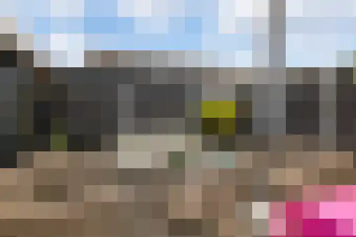 Waterhoen 1 Oostzaan thumbnail 16