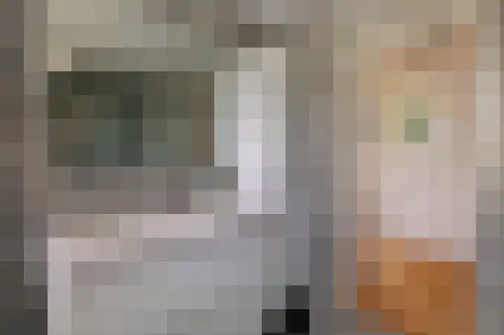 Waterhoen 1 Oostzaan thumbnail 25