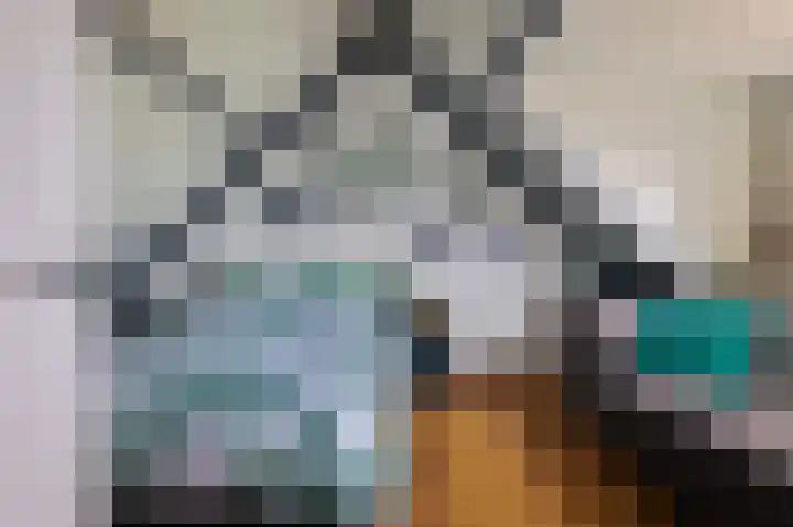 Waterhoen 1 Oostzaan thumbnail 26