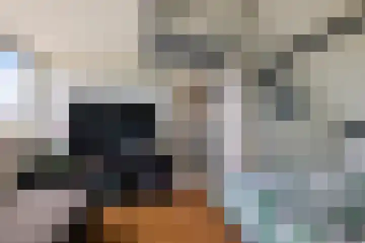 Waterhoen 1 Oostzaan thumbnail 27