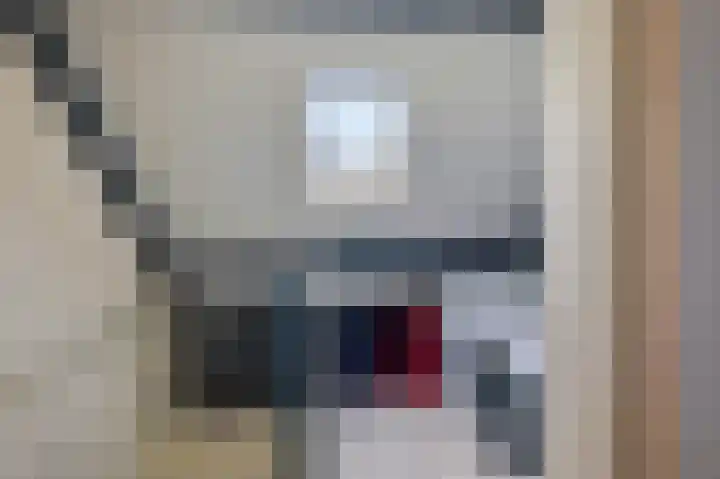 Waterhoen 1 Oostzaan thumbnail 28