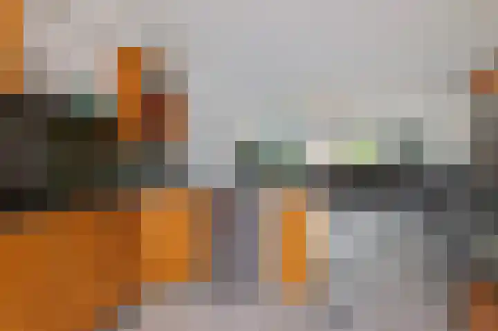 Waterhoen 1 Oostzaan thumbnail 8