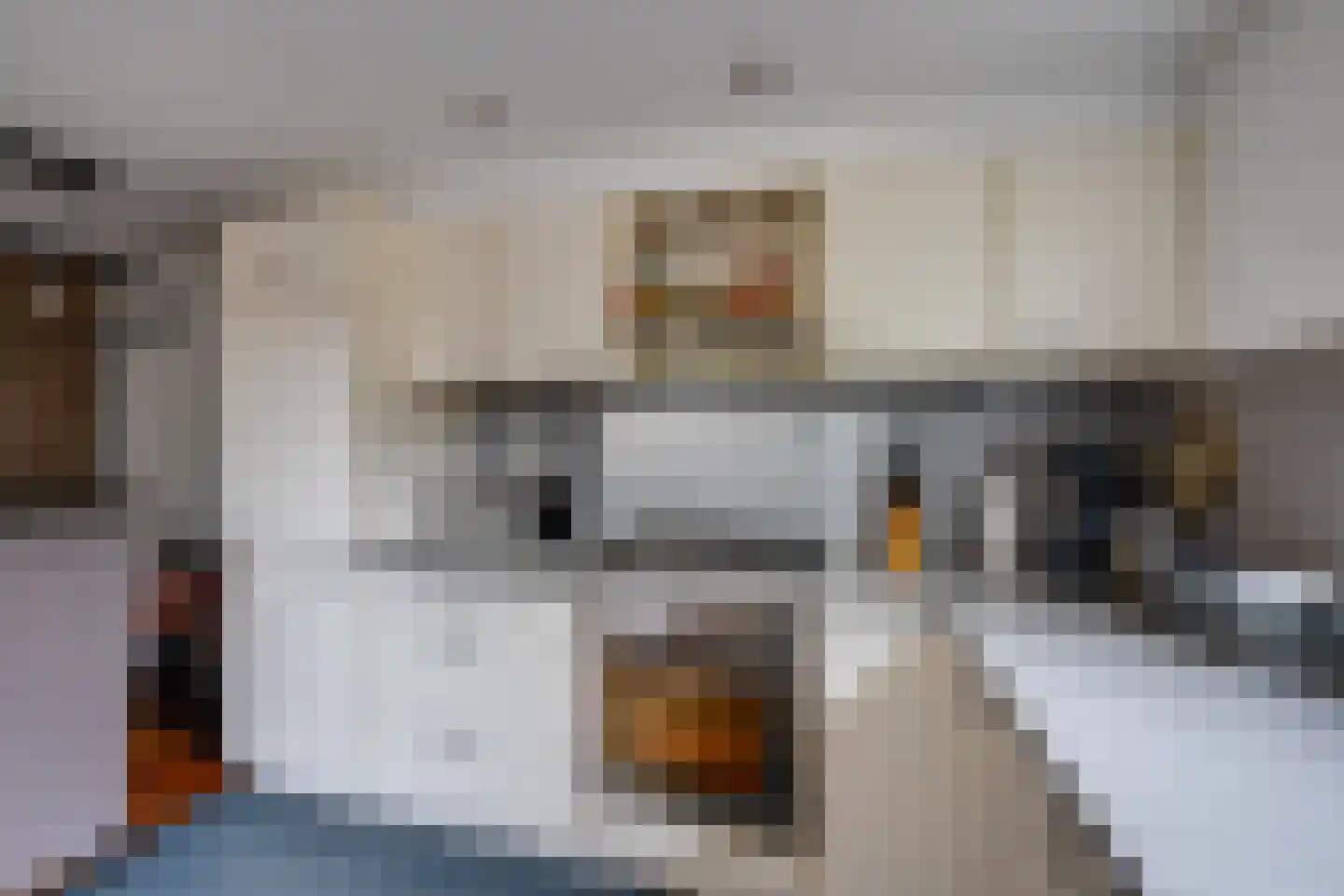 Waterhoen 10 Etten-Leur thumbnail 15