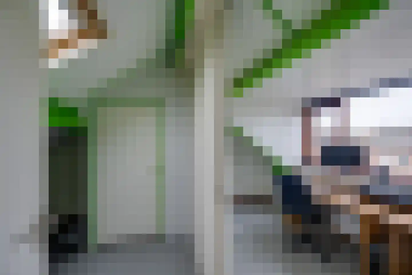 Waterhoen 10 Etten-Leur thumbnail 23