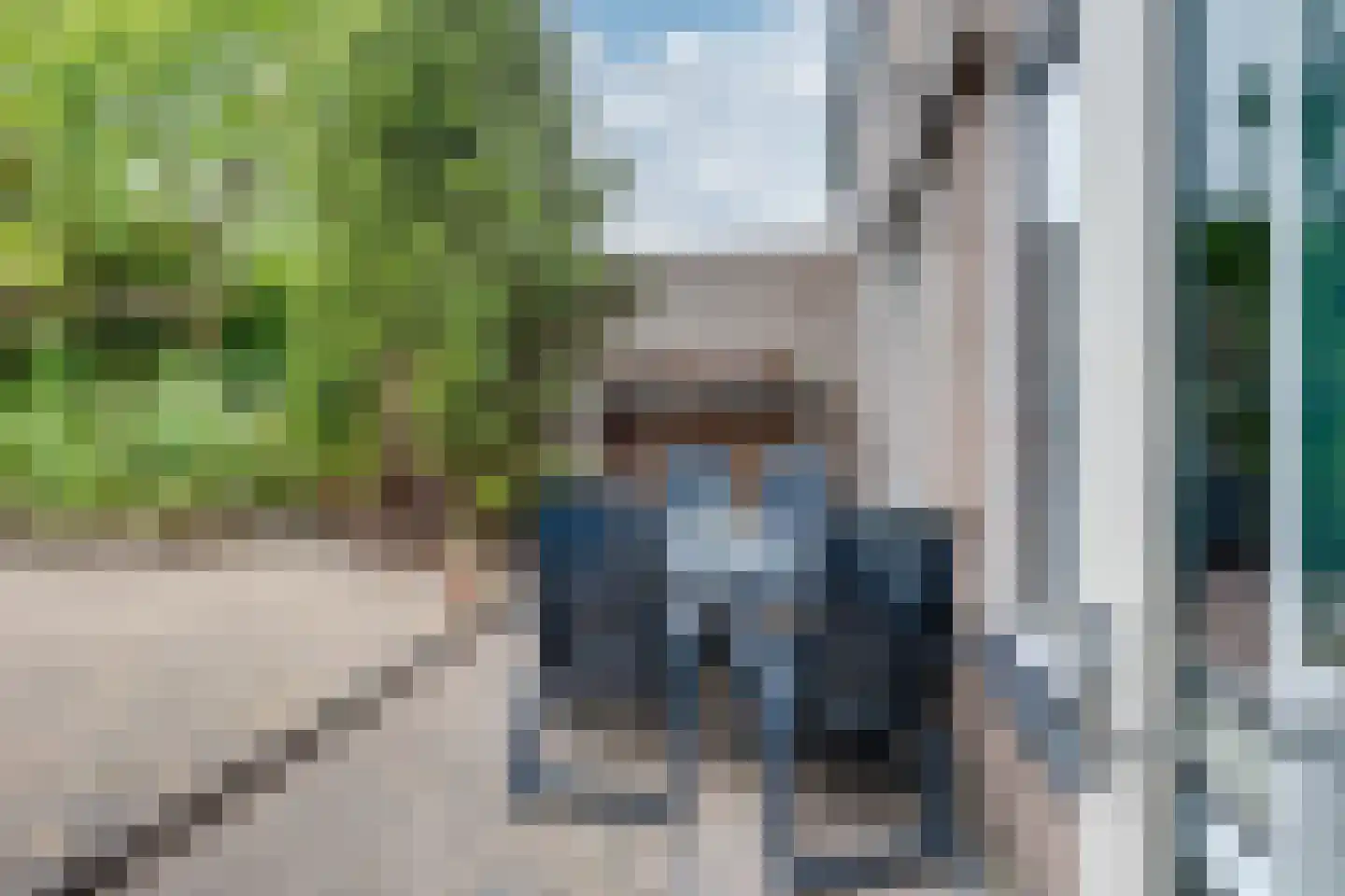 Waterhoen 10 Etten-Leur thumbnail 28