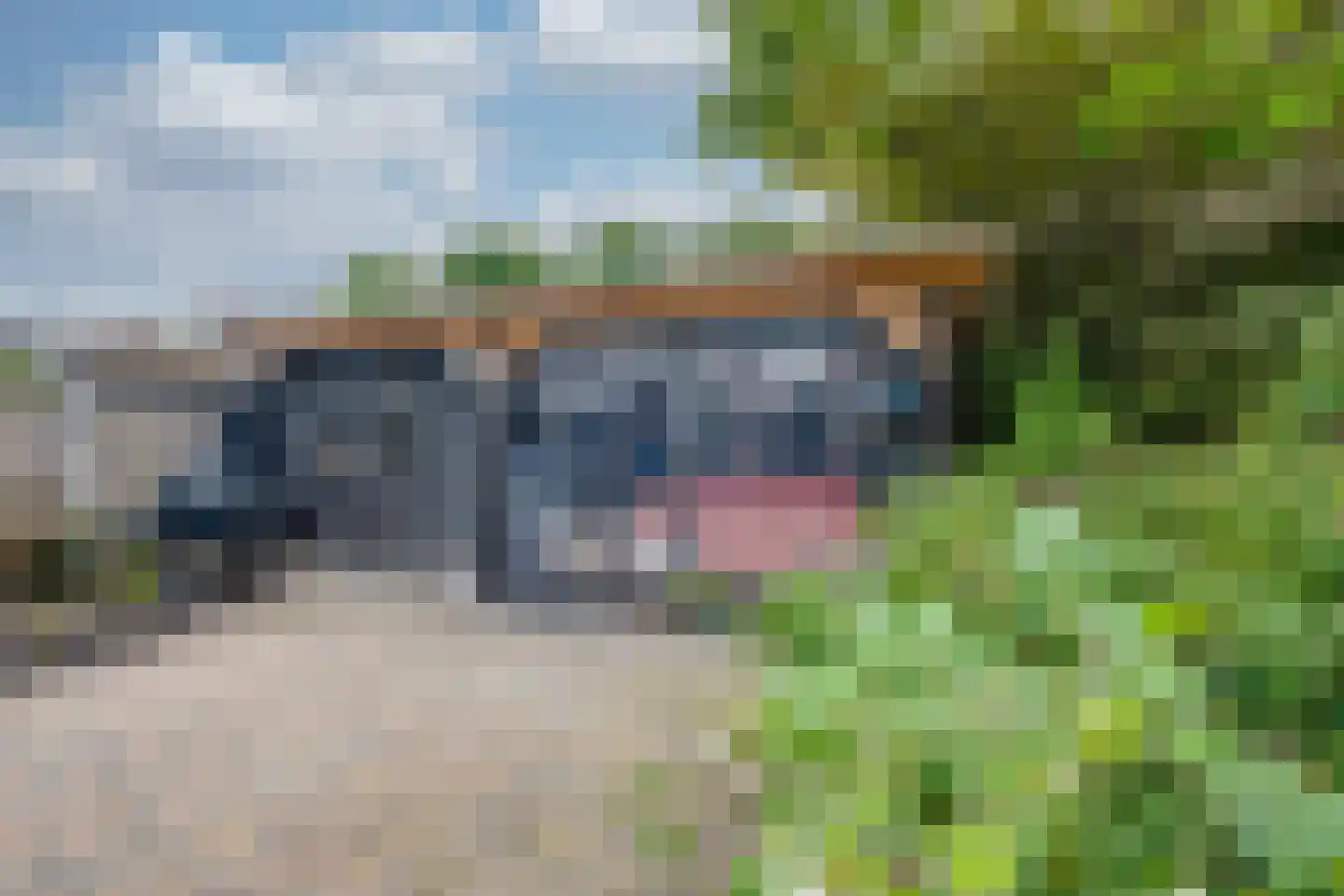 Waterhoen 10 Etten-Leur thumbnail 30