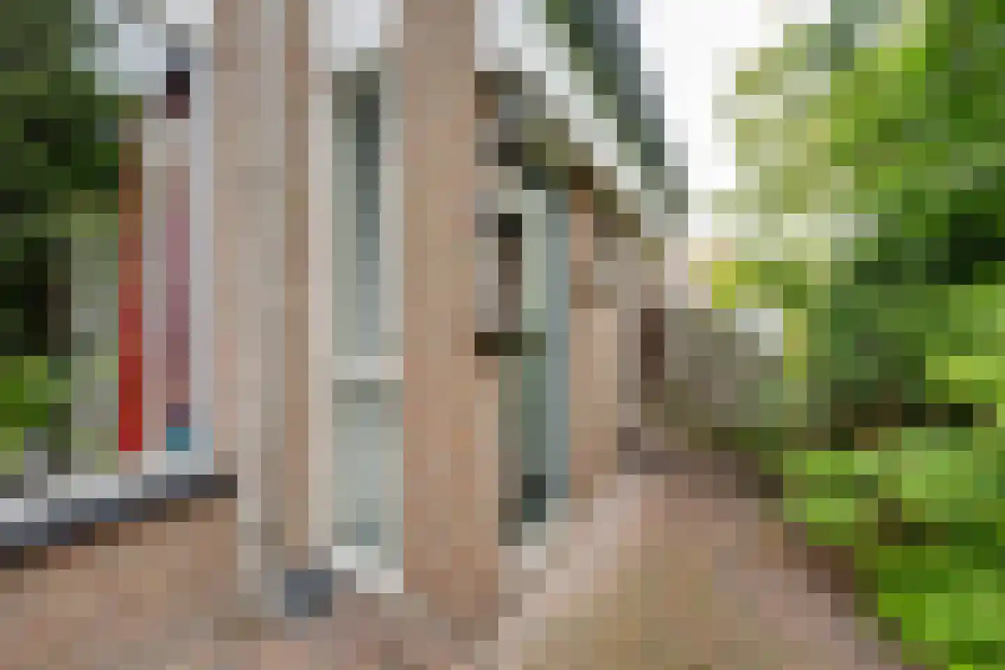Waterhoen 10 Etten-Leur thumbnail 7
