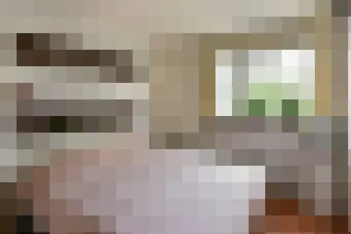 Waterhoen 10 Mijdrecht thumbnail 12