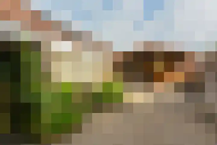 Waterhoen 10 Mijdrecht thumbnail 28