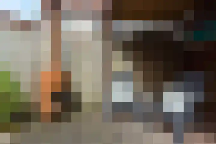 Waterhoen 10 Mijdrecht thumbnail 30